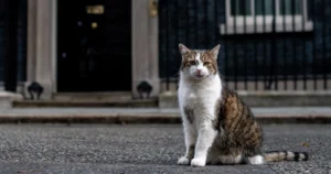 PM Datang Dan Pergi, Larry Kekal Penghuni No.10 Downing Street